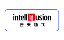云天励飞