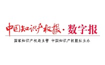 中国知识产权报