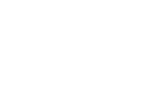 Alternate Text